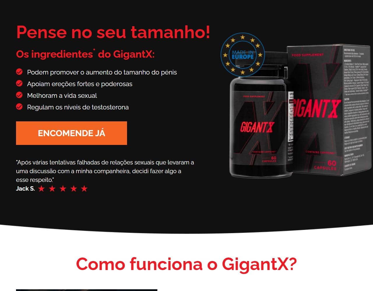 GigantX 1