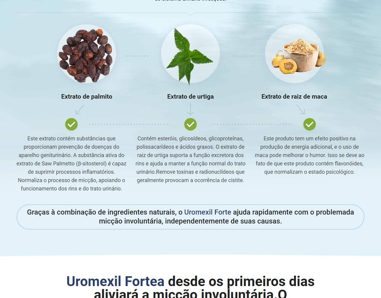 Uromexil Forte Cystitis 3