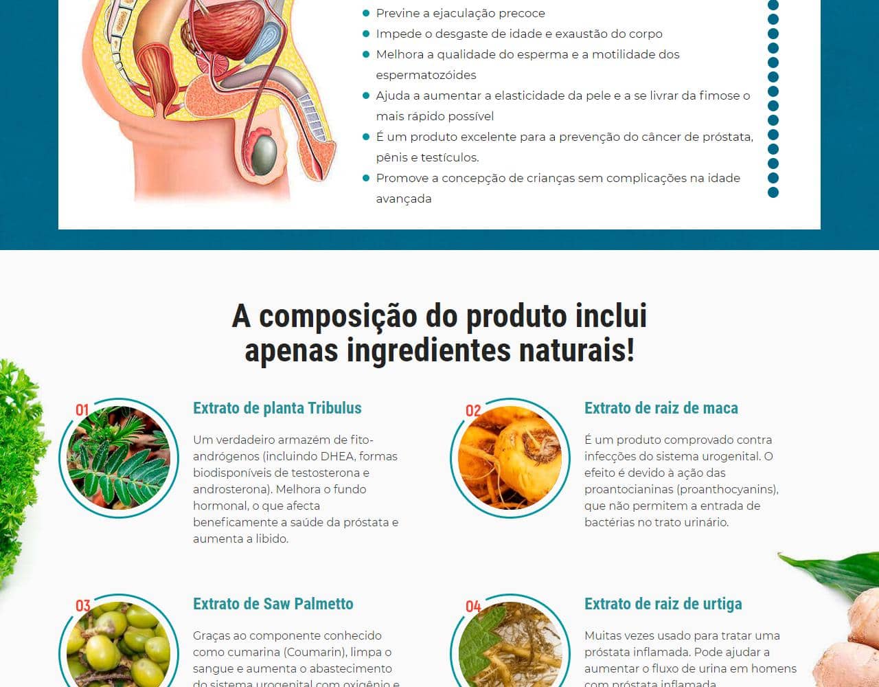 Uromexil Forte Prostatitis 3