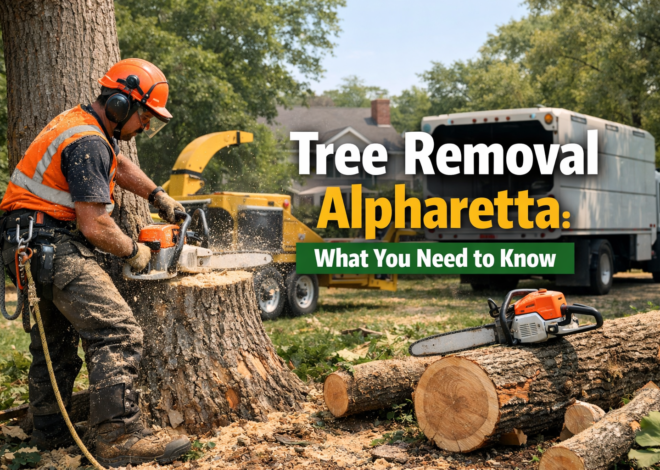 Tree Removal Alpharetta: What You Need to Know