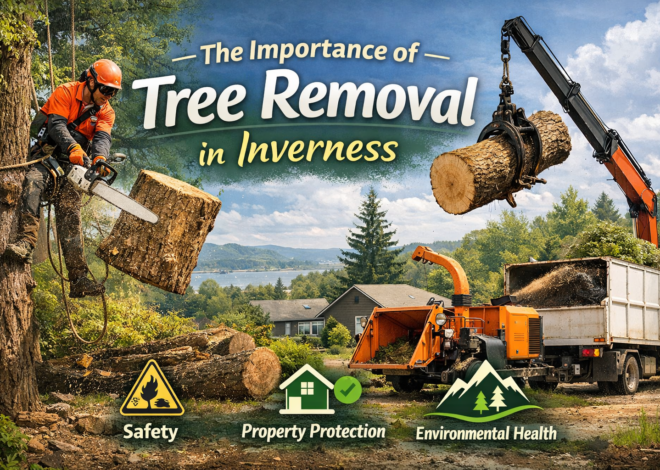 The Importance of Tree removal in Inverness