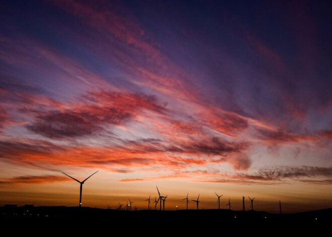 The Secrets Behind Successful Offshore Wind Projects