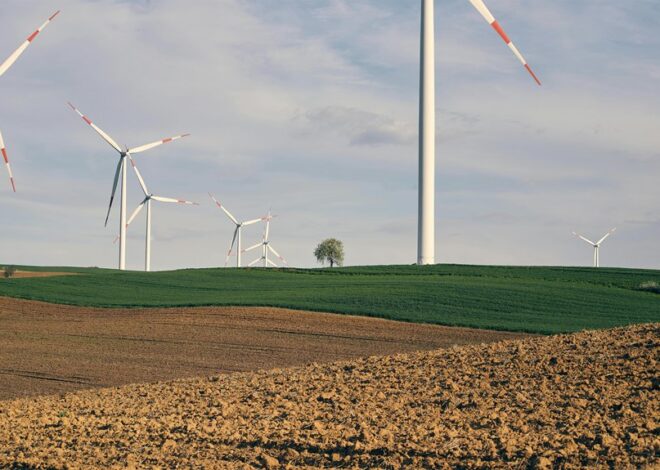 Exploring the Advantages of Offshore Wind Farms