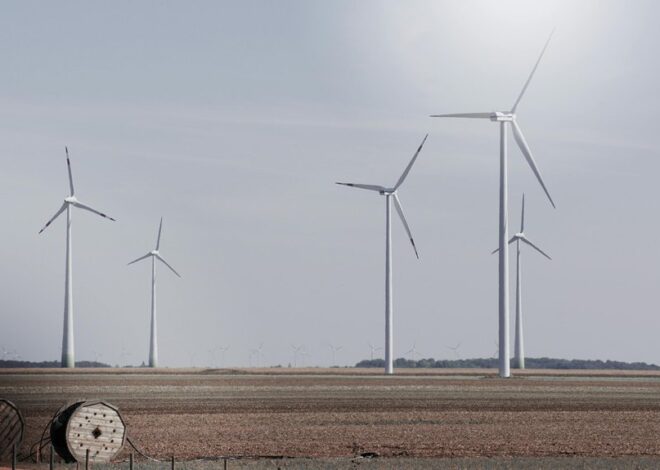 The Future of Offshore Wind Power Revealed