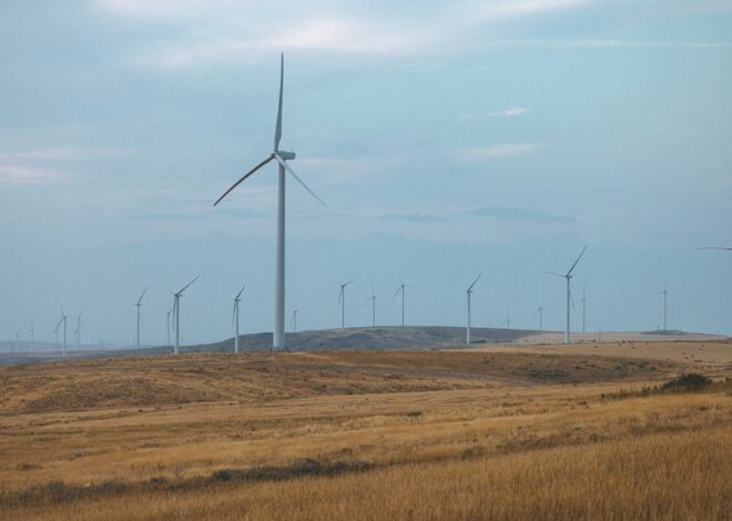 What Makes Offshore Wind Farms Sustainable Solutions