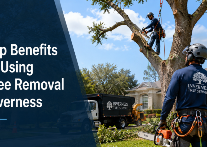 Top Benefits of Using Tree Removal Inverness