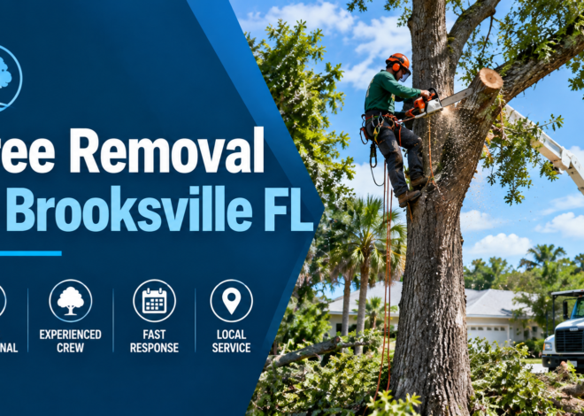 Tree Removal in Brooksville FL: A Guide to Safe and Reliable Tree Removal